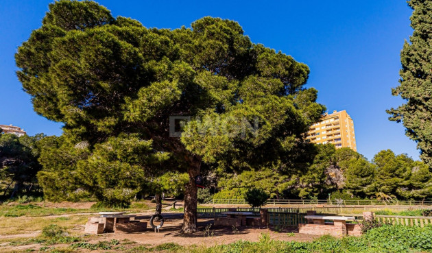 Resale - Duplex - Dehesa de Campoamor - Costa Blanca