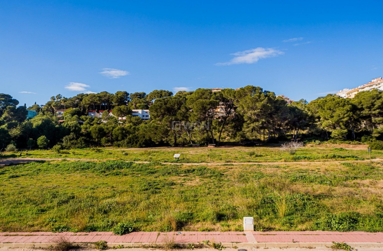 Resale - Duplex - Dehesa de Campoamor - Costa Blanca