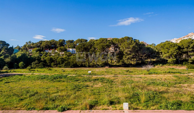 Resale - Duplex - Dehesa de Campoamor - Costa Blanca