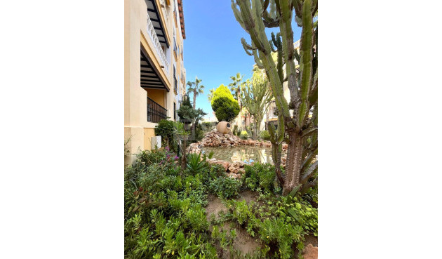 Odsprzedaż - Daszek - Torrevieja - Los Frutales