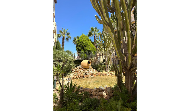 Odsprzedaż - Daszek - Torrevieja - Los Frutales