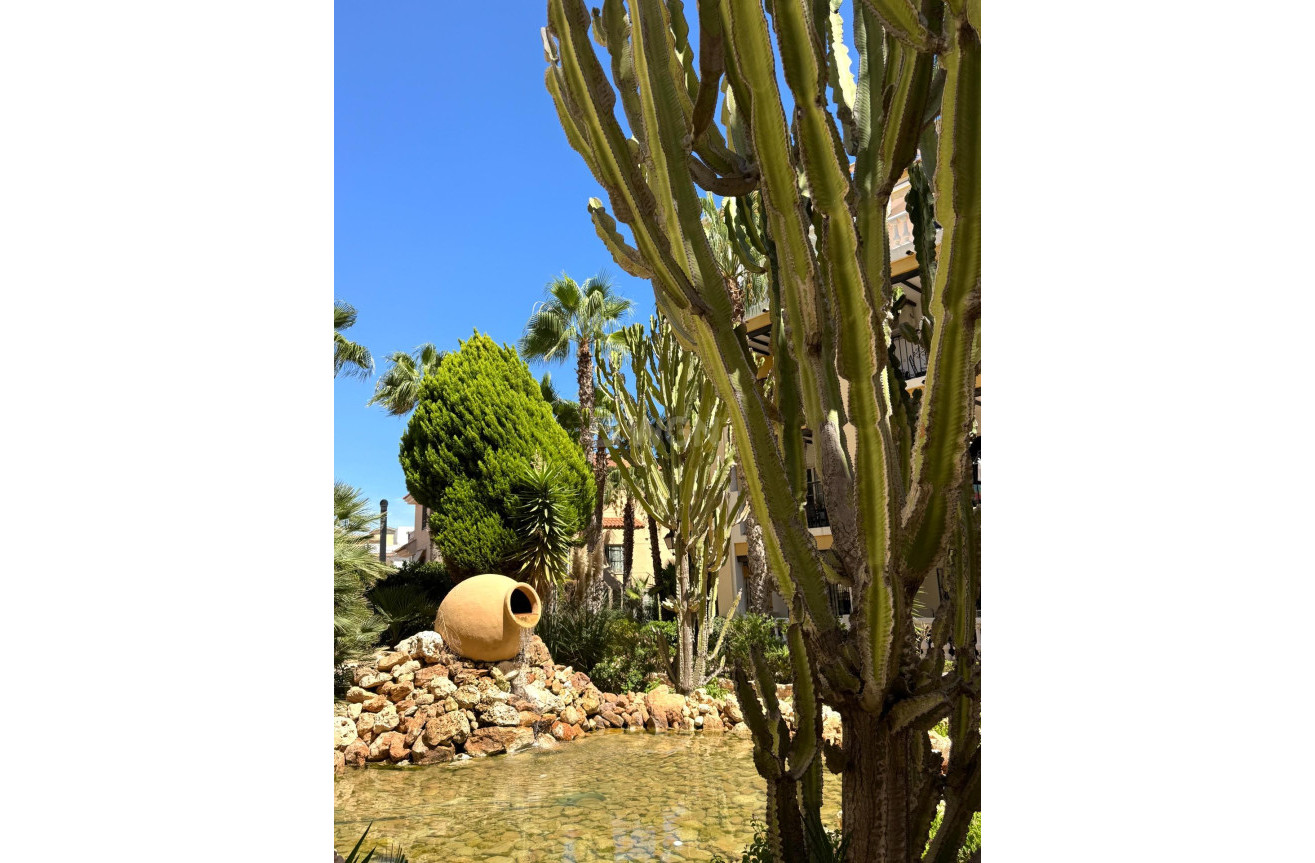 Odsprzedaż - Daszek - Torrevieja - Los Frutales