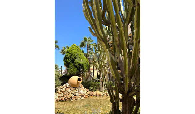 Odsprzedaż - Daszek - Torrevieja - Los Frutales