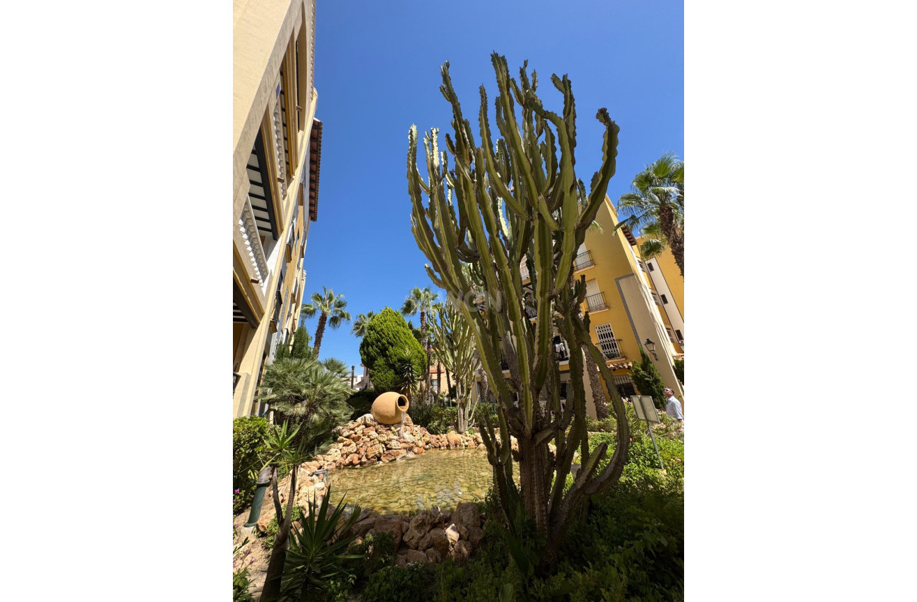 Odsprzedaż - Daszek - Torrevieja - Los Frutales