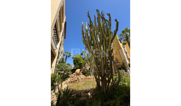 Odsprzedaż - Daszek - Torrevieja - Los Frutales