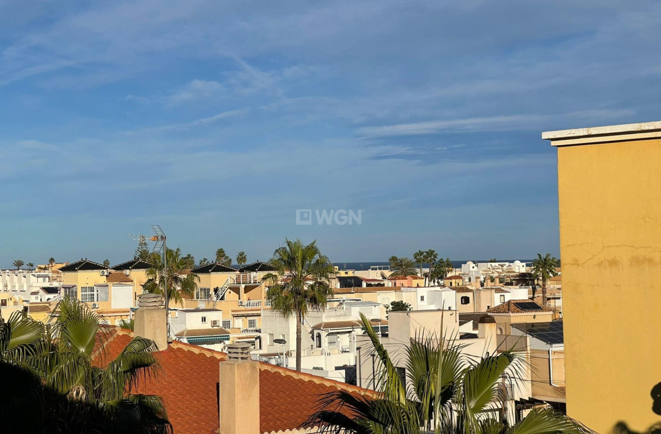 Odsprzedaż - Daszek - Torrevieja - Los Frutales