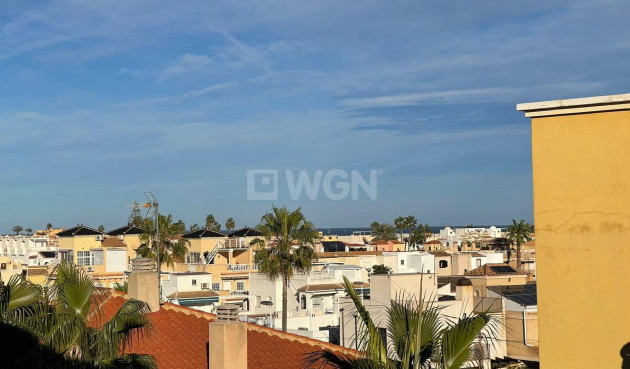 Odsprzedaż - Daszek - Torrevieja - Los Frutales