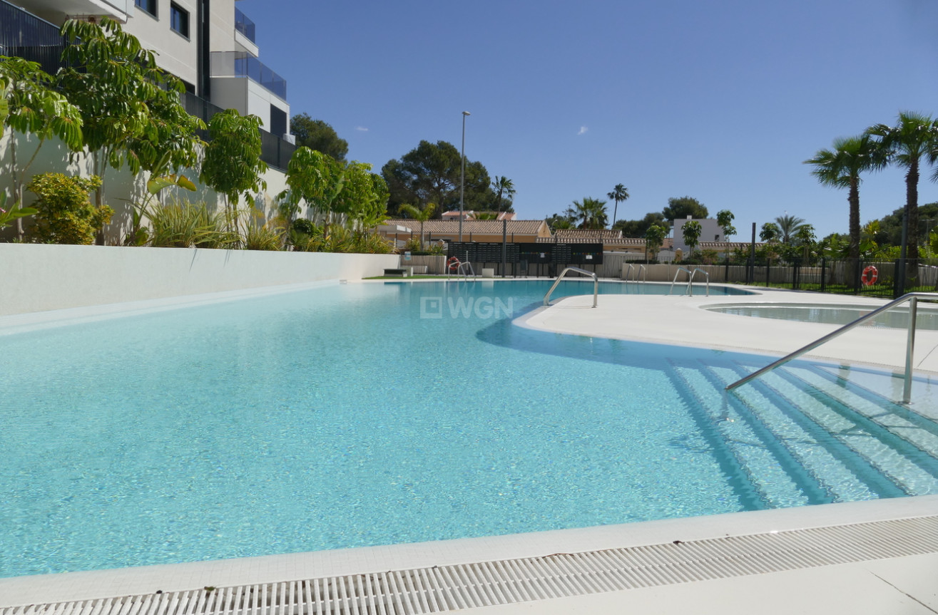 Odsprzedaż - Mieszkanie w bloku - Dehesa de Campoamor - Costa Blanca