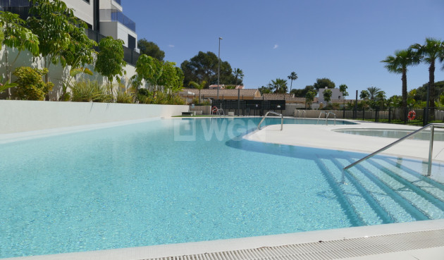 Odsprzedaż - Mieszkanie w bloku - Dehesa de Campoamor - Costa Blanca