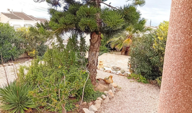 Odsprzedaż - Villa - Torrevieja - La Siesta