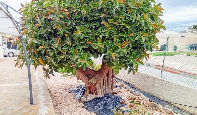 Odsprzedaż - Villa - Torrevieja - La Siesta