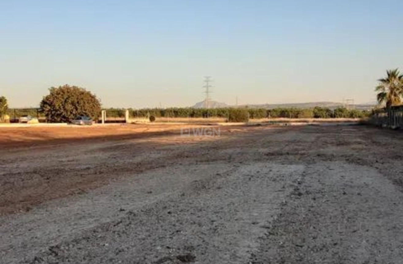 Odsprzedaż - Villa - San Miguel de Salinas - Inland