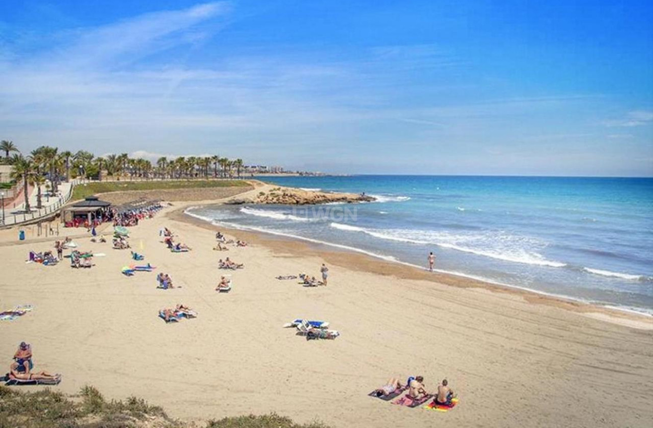 Odsprzedaż - Mieszkanie w bloku - Villamartin - Costa Blanca