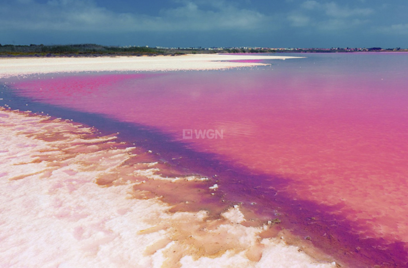 Reventa - Apartamento / piso - Villamartin - Costa Blanca