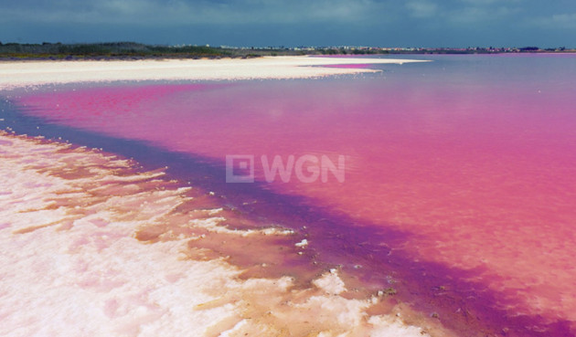 Reventa - Apartamento / piso - Villamartin - Costa Blanca