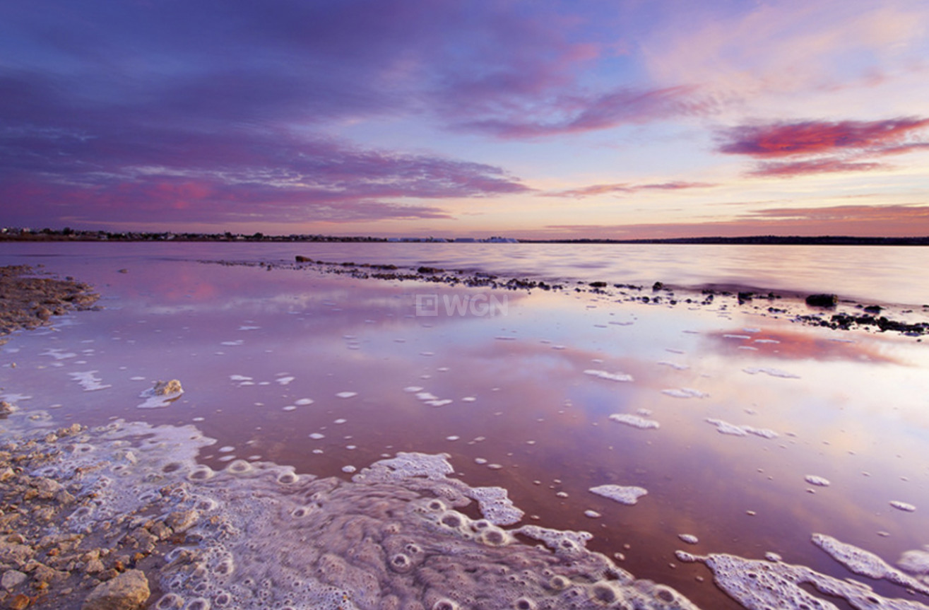 Reventa - Apartamento / piso - Villamartin - Costa Blanca