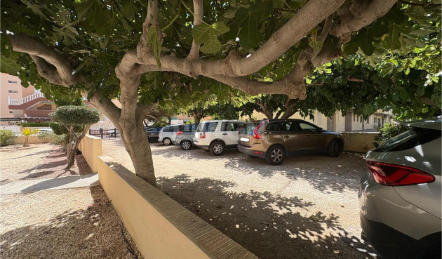 Odsprzedaż - Mieszkanie w bloku - Torrevieja - Costa Blanca