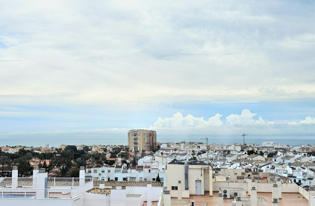 Odsprzedaż - Mieszkanie w bloku - Torrevieja - Nueva Torrevieja