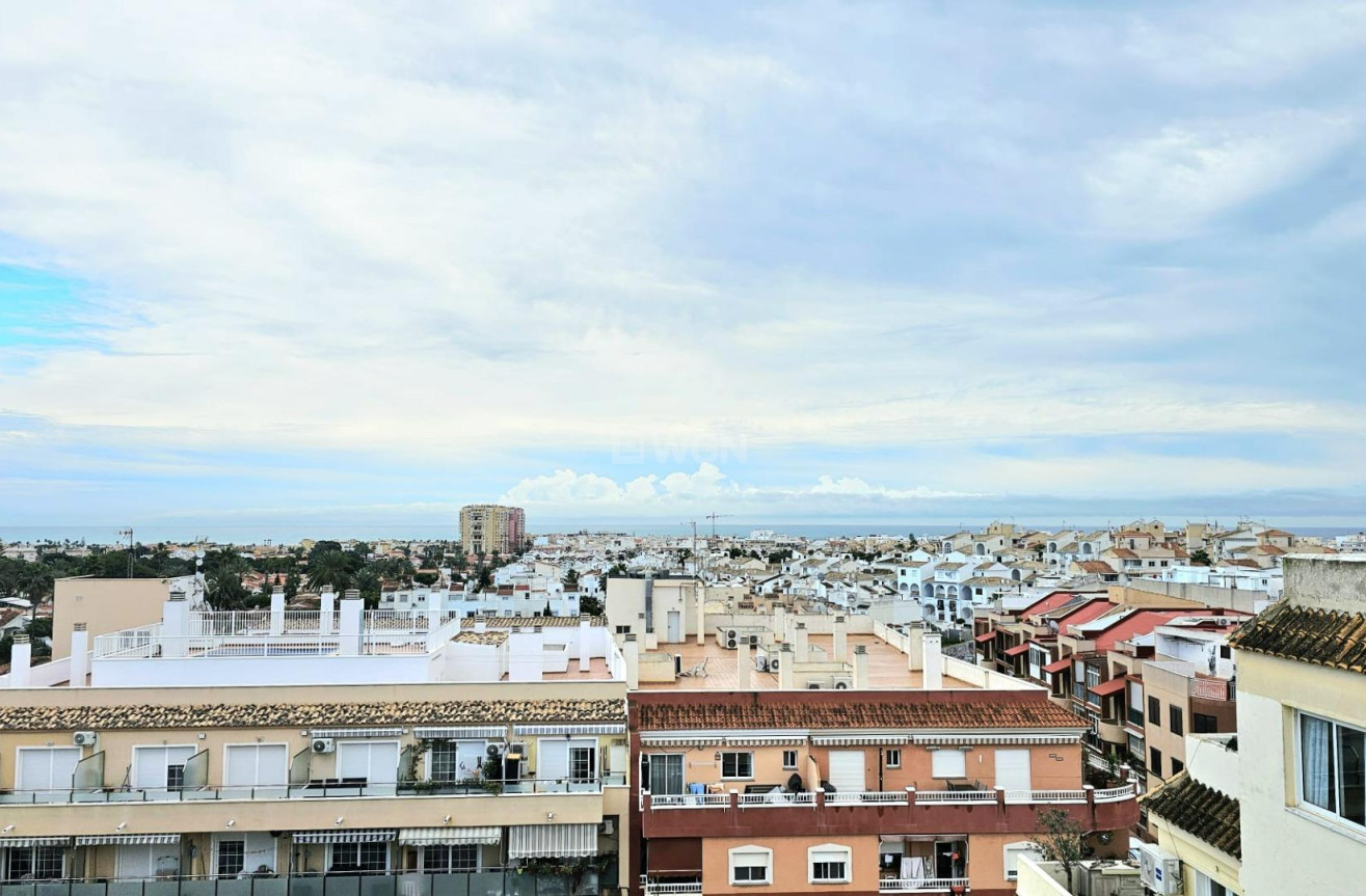 Odsprzedaż - Mieszkanie w bloku - Torrevieja - Nueva Torrevieja