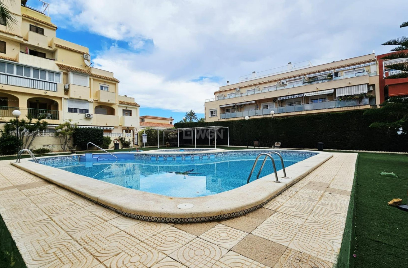 Odsprzedaż - Mieszkanie w bloku - Torrevieja - Nueva Torrevieja