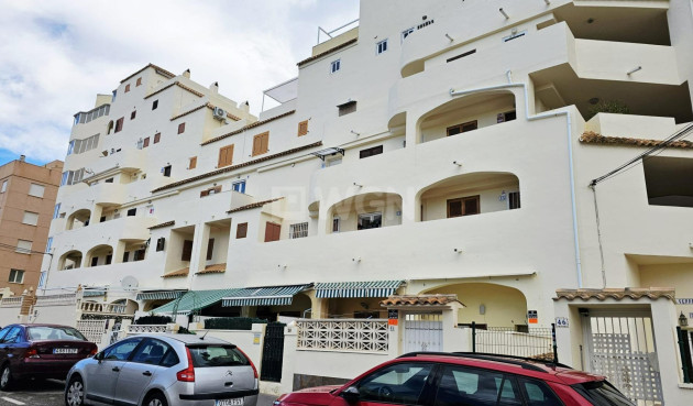 Odsprzedaż - Mieszkanie w bloku - Torrevieja - Nueva Torrevieja
