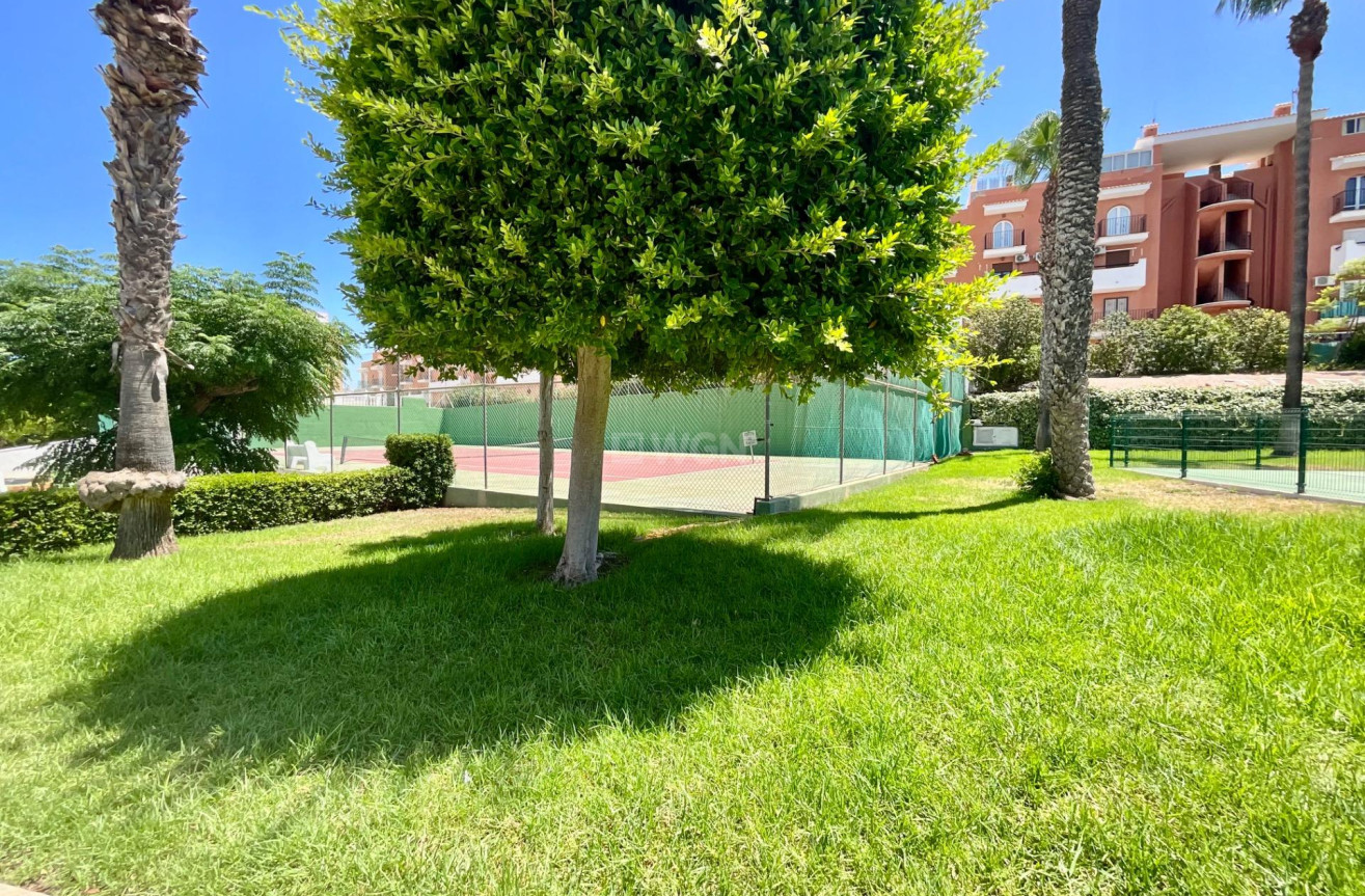 Odsprzedaż - Bungalow - Torrevieja - Torreblanca