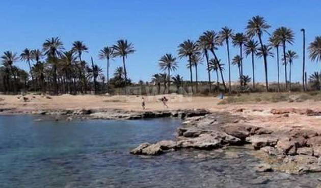 Odsprzedaż - Daszek - Torrevieja - La Veleta