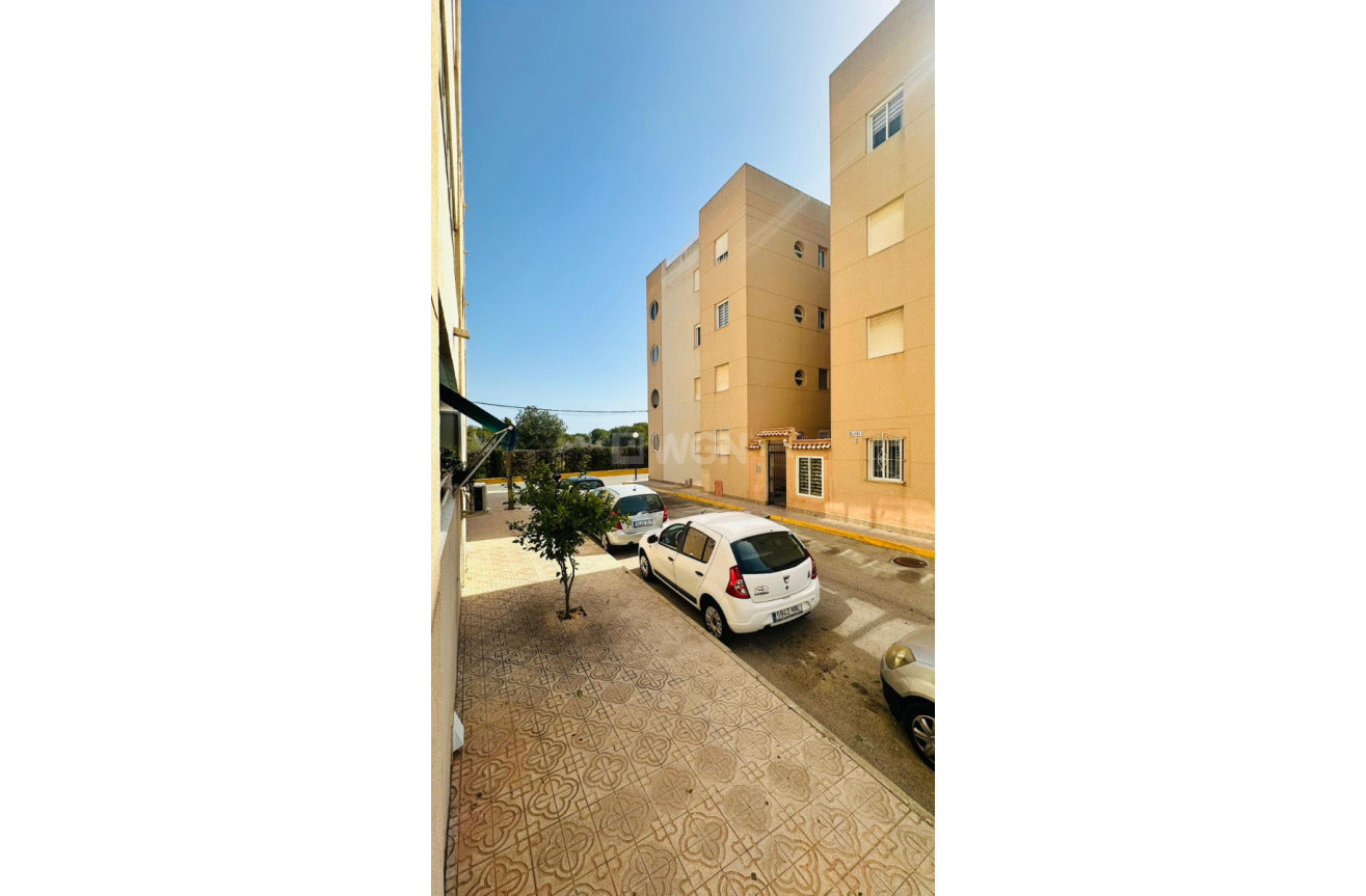 Odsprzedaż - Mieszkanie w bloku - Torrevieja - Costa Blanca