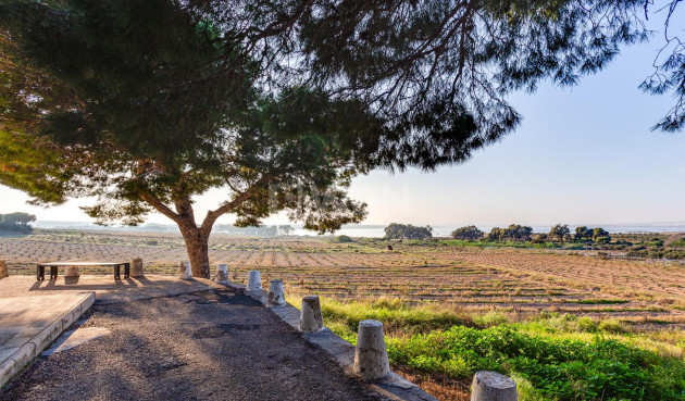 Odsprzedaż - Bungalow - Torrevieja - La Siesta - El Salado - Torreta