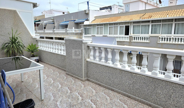 Odsprzedaż - Daszek - Torrevieja - Estacion De Autobuses