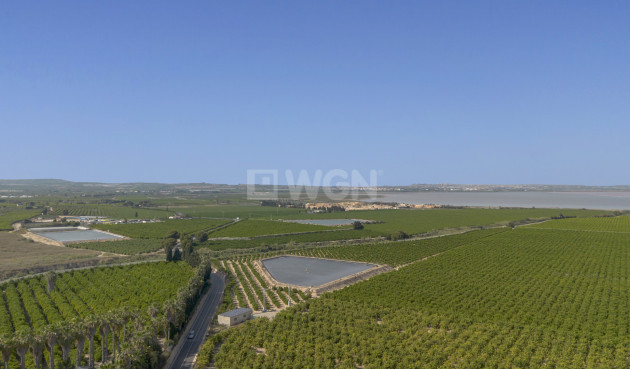 Odsprzedaż - Mieszkanie w bloku - San Miguel de Salinas - Inland