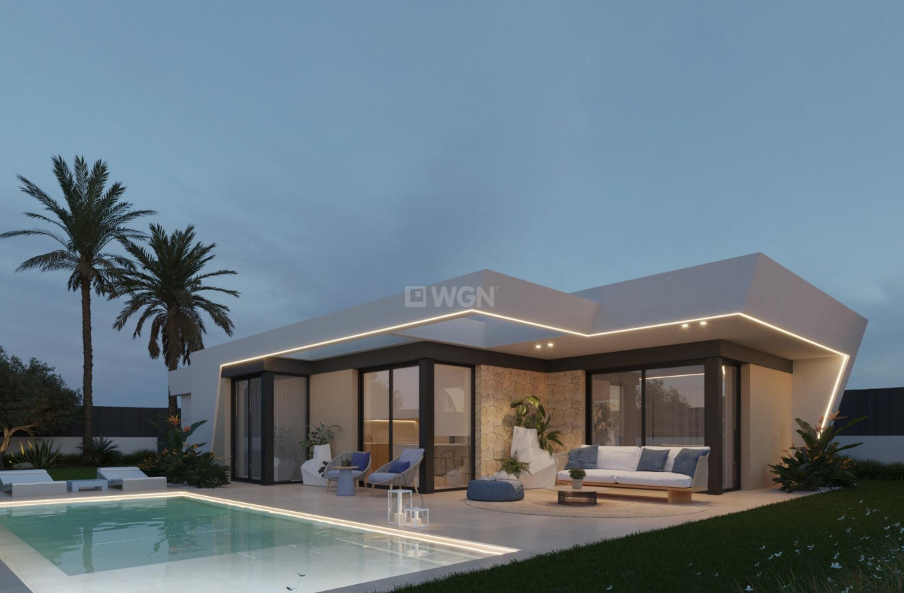 Nowy budynek - Villa - Molina De Segura - Urb. La Quinta