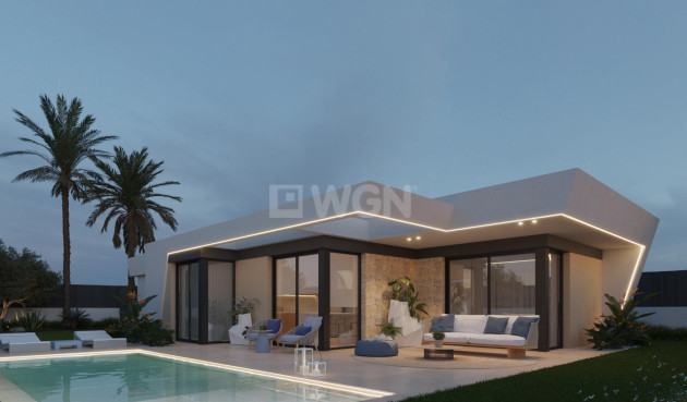 Nowy budynek - Villa - Molina De Segura - Urb. La Quinta