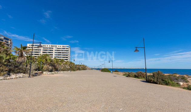 Odsprzedaż - Mieszkanie w bloku - Torrevieja - Punta Prima