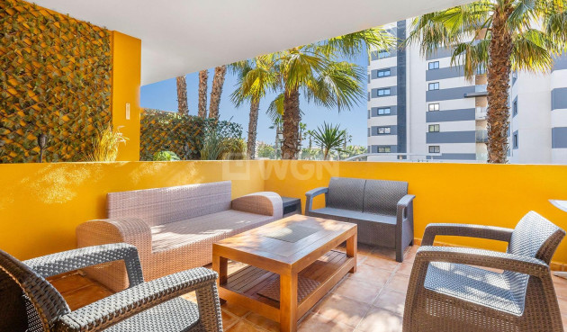 Odsprzedaż - Mieszkanie w bloku - Torrevieja - Punta Prima