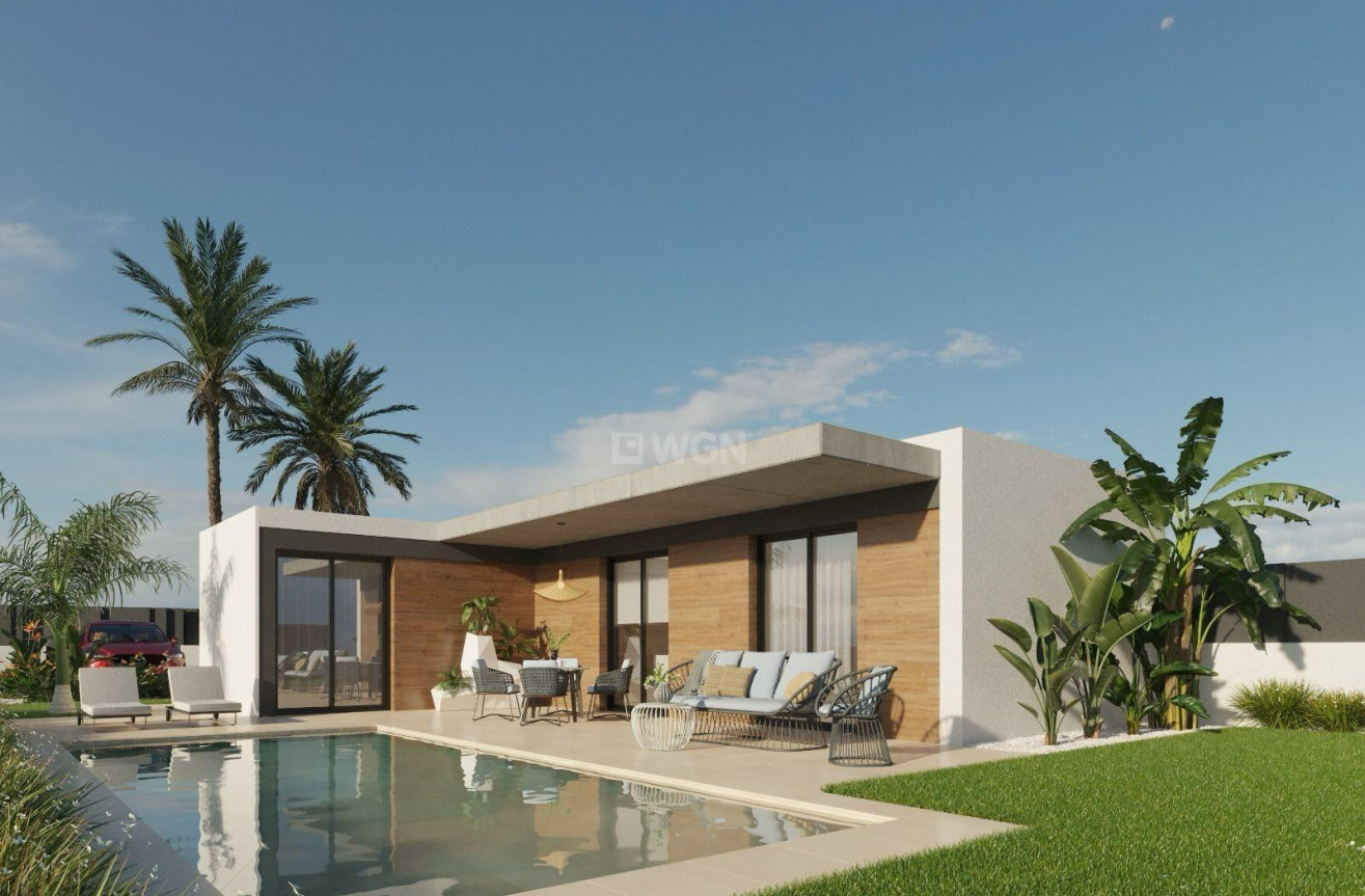 Nowy budynek - Villa - Molina De Segura - Urb. La Quinta