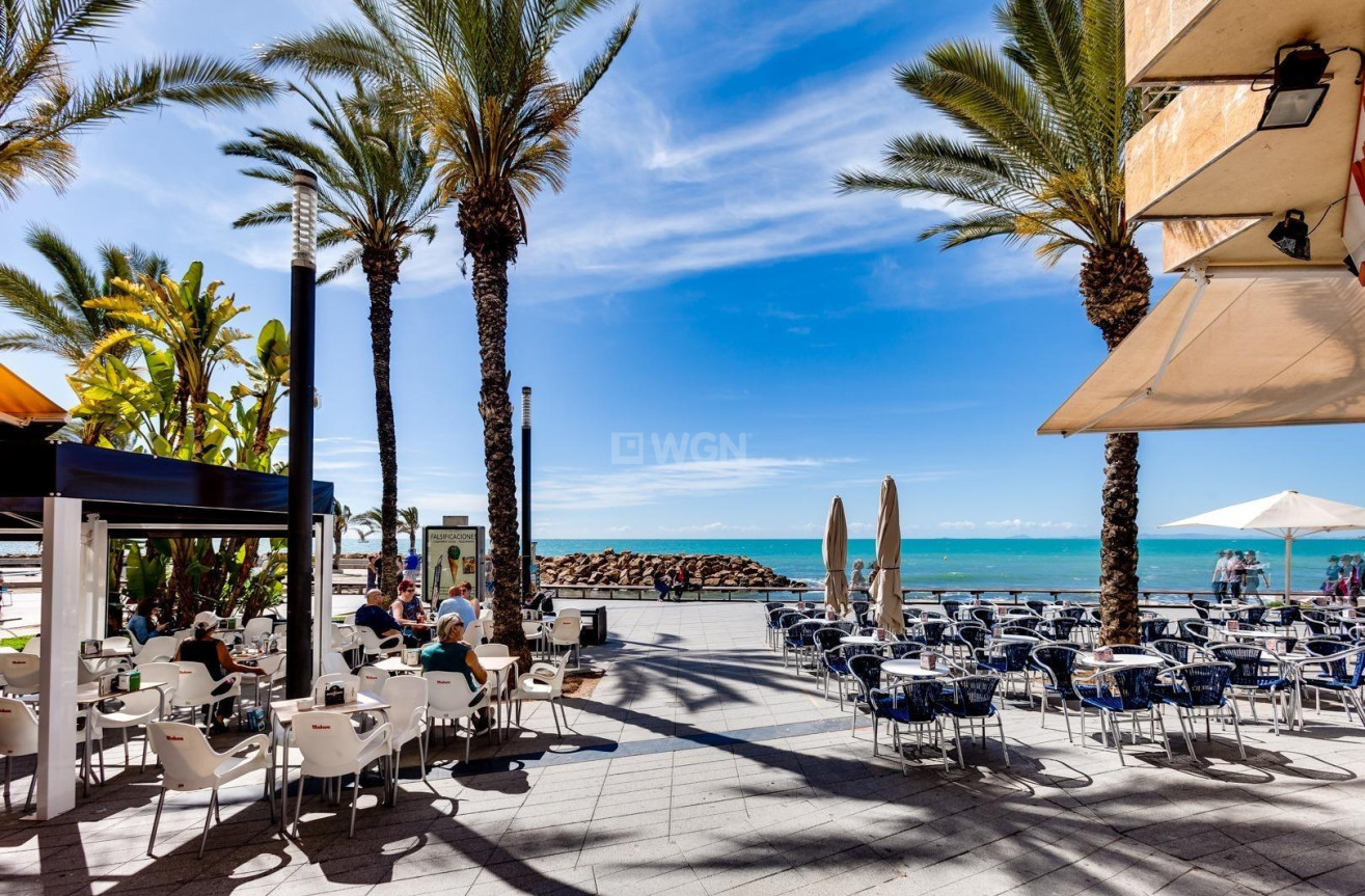 Wiederverkauf - Duplex - Torrevieja - La Siesta