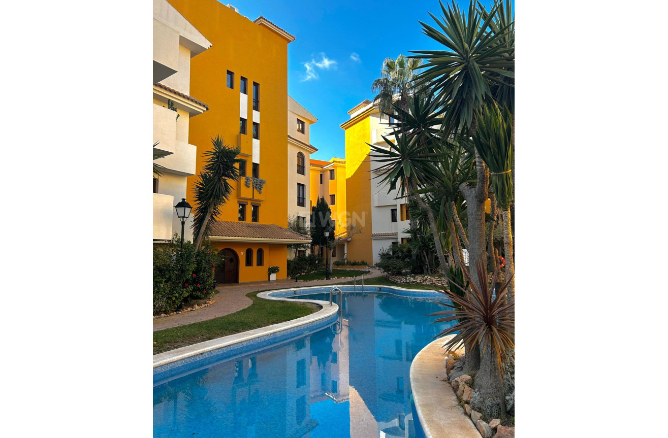 Odsprzedaż - Mieszkanie w bloku - Torrevieja - Punta Prima