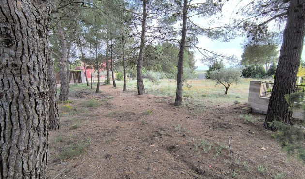 Wiederverkauf - Villa - Yecla - Inland