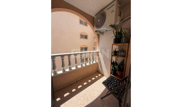 Odsprzedaż - Mieszkanie w bloku - Torrevieja - Centro