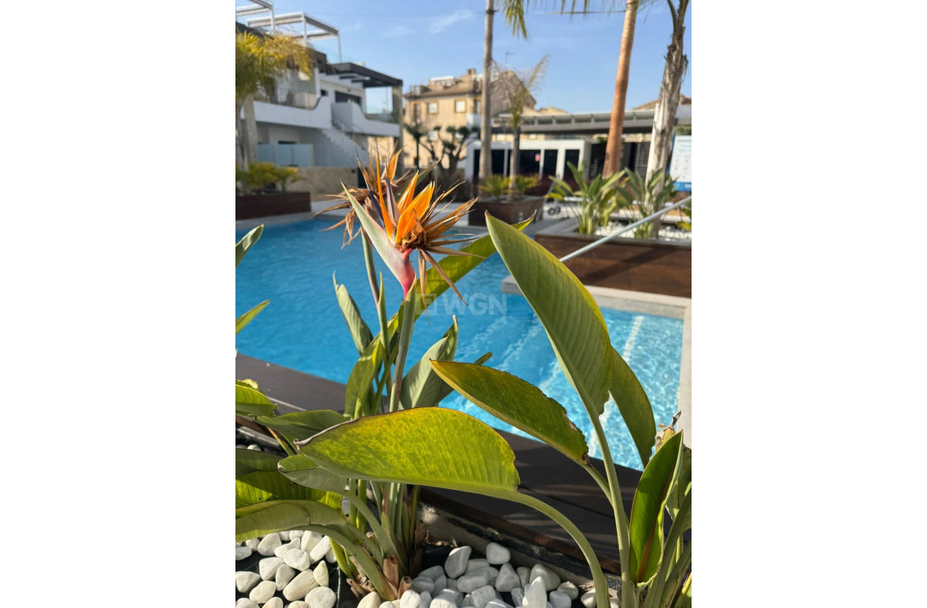 Odsprzedaż - Mieszkanie w bloku - Orihuela Costa - Rocio Del Mar