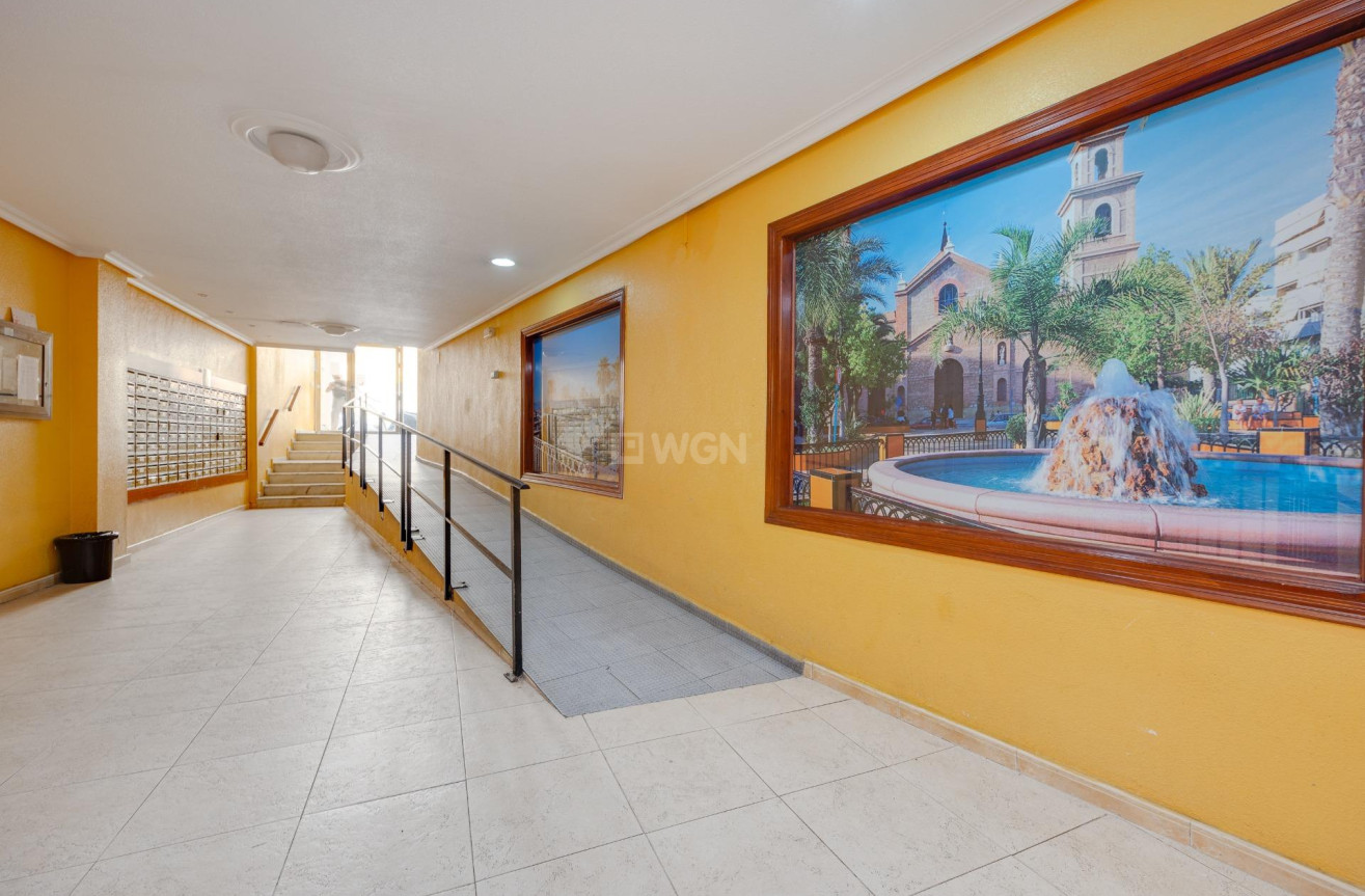 Odsprzedaż - Mieszkanie w bloku - Torrevieja - Centro