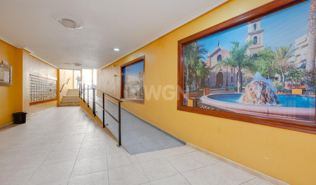 Odsprzedaż - Mieszkanie w bloku - Torrevieja - Centro