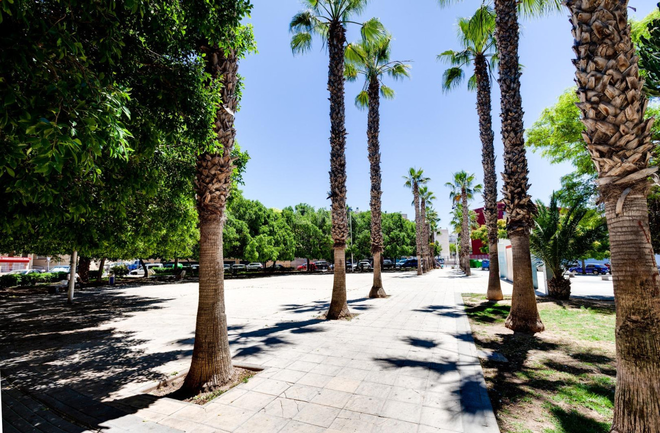 Odsprzedaż - Mieszkanie w bloku - Torrevieja - Centro
