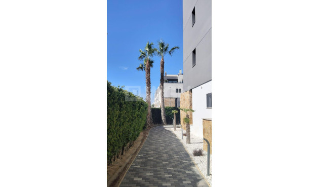 Odsprzedaż - Mieszkanie w bloku - Orihuela Costa - PAU 8