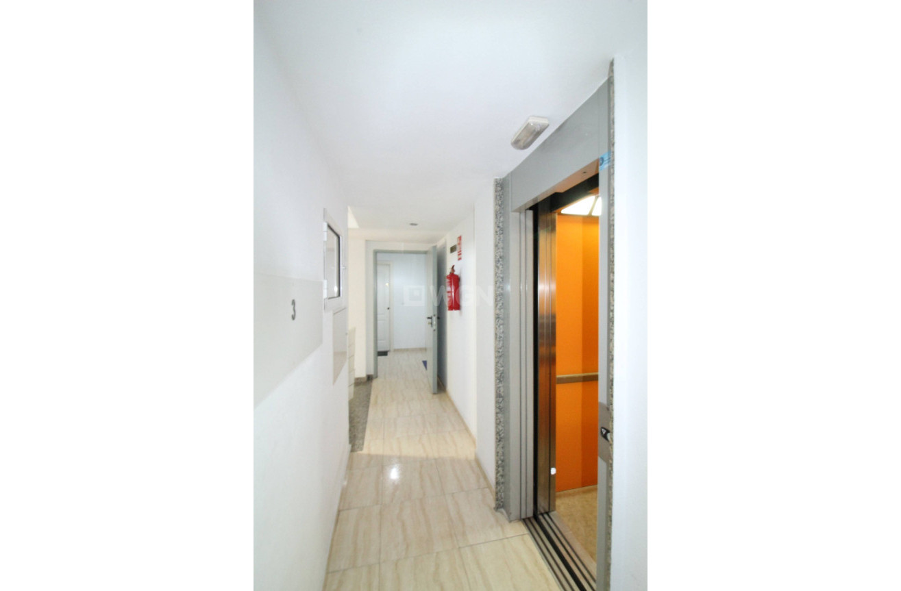 Odsprzedaż - Mieszkanie w bloku - Torrevieja - Centro