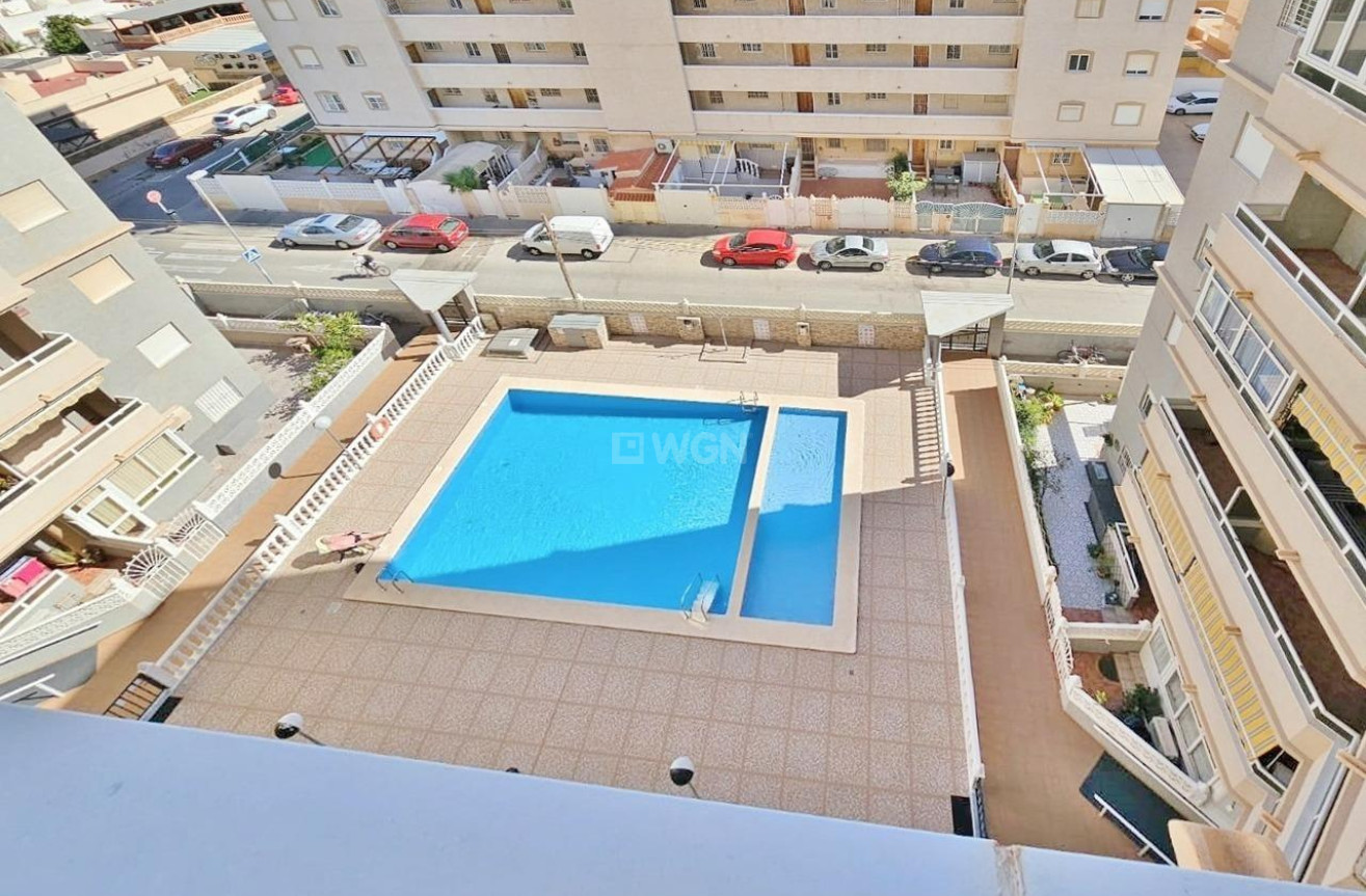 Odsprzedaż - Mieszkanie w bloku - Torrevieja - Nueva Torrevieja