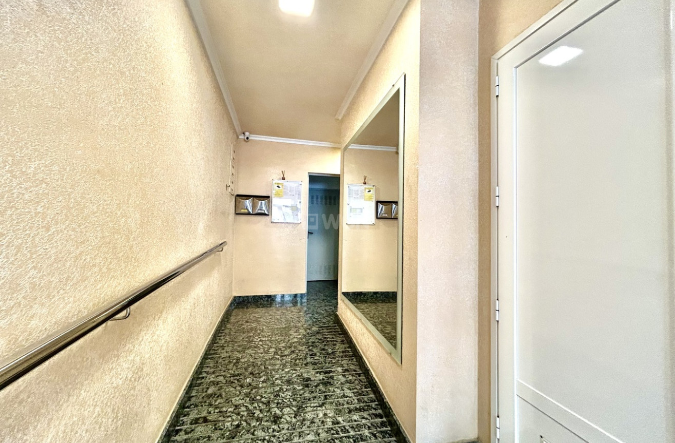 Odsprzedaż - Mieszkanie w bloku - Torrevieja - Costa Blanca