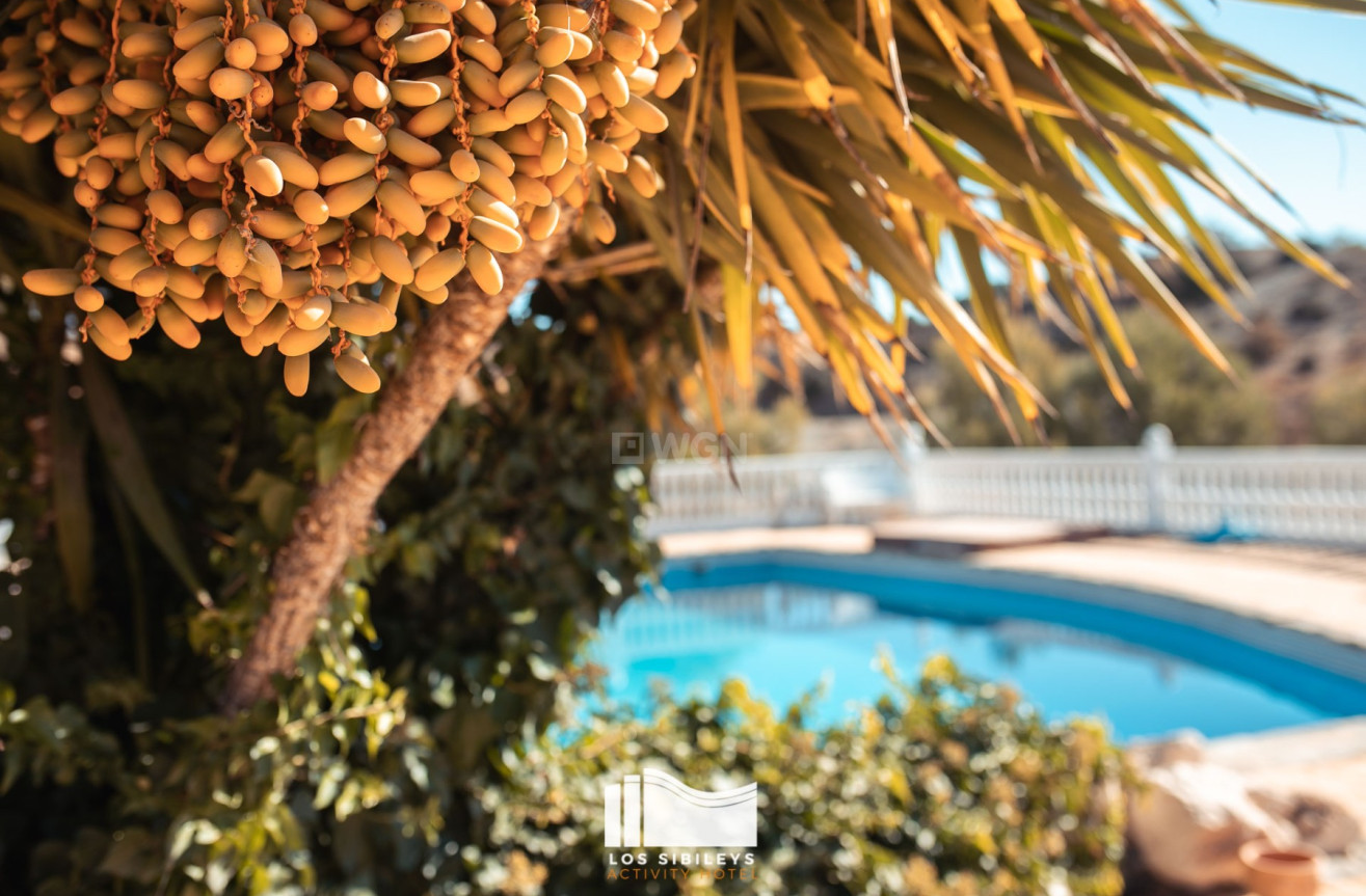 Odsprzedaż - Villa - Lorca - Costa Calida