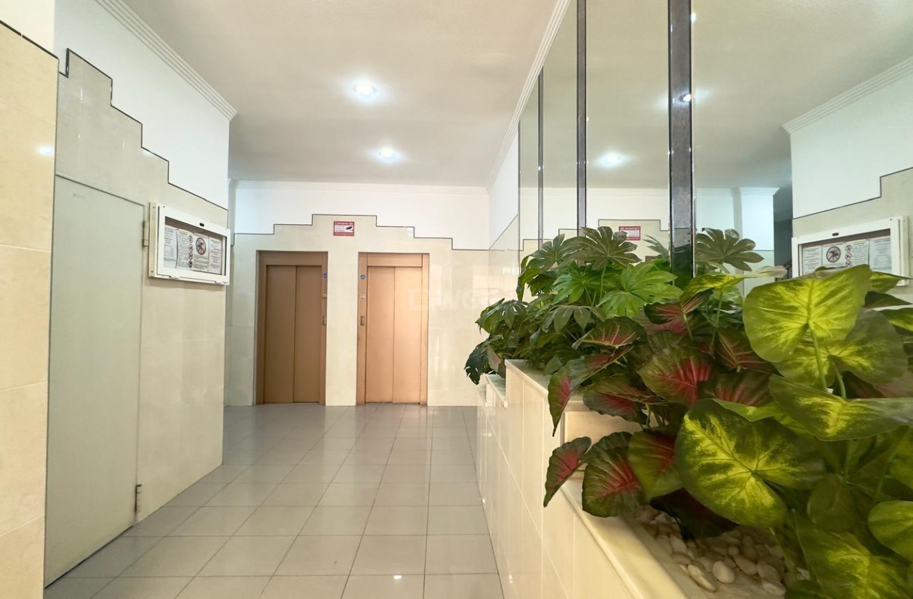 Odsprzedaż - Mieszkanie w bloku - Torrevieja - Centro